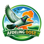 Logo Oost groot